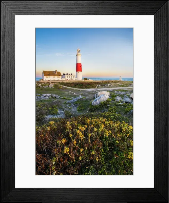 Framed Print : Portland Bill Lighthouse at sunset, Isle of Portland, Dorset, England, UK
