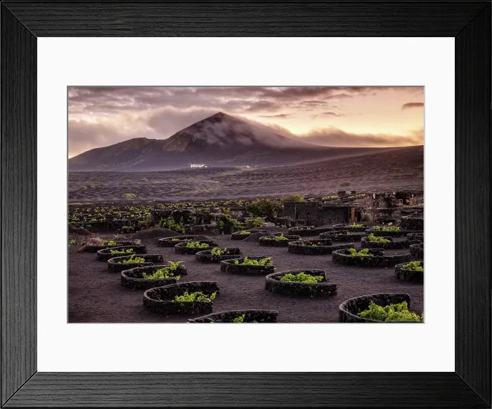 Framed Print : The vineyards and volcanic landscape of La Geria, Lanzarote, Canary Islands, Spain Framed Print : The vineyards and volcanic landscape of La Geria, Lanzarote, Canary Islands, Spain