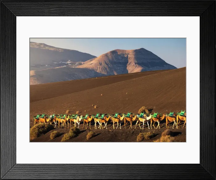 Framed Print : Enchadero de los Camellos, Yaiza, Las Palmas, Timanfaya National Park, Lanzarote, Canary Islands, Spain Framed Print : Enchadero de los Camellos, Yaiza, Las Palmas, Timanfaya National Park, Lanzarote, Canary Islands, Spain