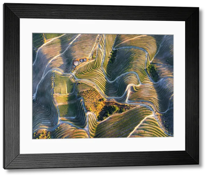 Framed Print : Aerial view of Douro Valley with its vineyards, Alijo Vila Real, Douro, Norte, Portugal Framed Print : Aerial view of Douro Valley with its vineyards, Alijo Vila Real, Douro, Norte, Portugal