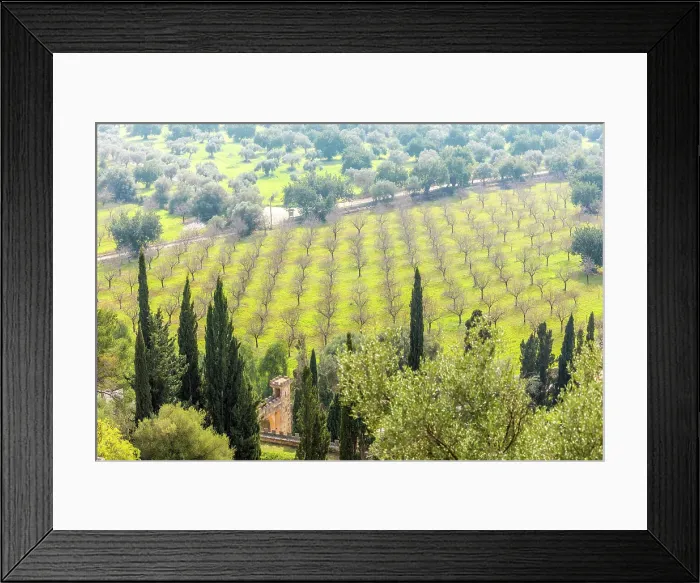 Framed Print : View from the observation pavilion of the Raixa estate into the plain, Bunyola, Mallorca, Balearic Islands, Spain Framed Print : View from the observation pavilion of the Raixa estate into the plain, Bunyola, Mallorca, Balearic Islands, Spain