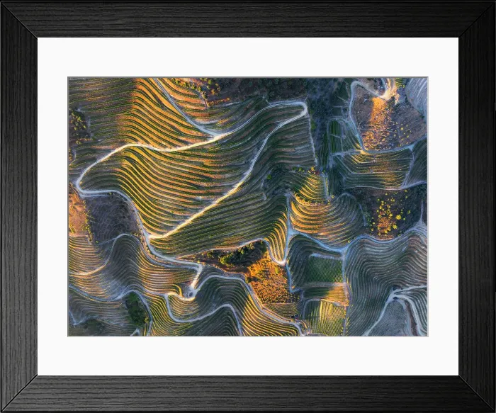 Framed Print : Aerial view of Douro Valley with its vineyards, Alijo Vila Real, Douro, Norte, Portugal Framed Print : Aerial view of Douro Valley with its vineyards, Alijo Vila Real, Douro, Norte, Portugal