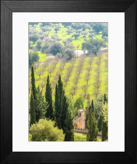 Framed Print : View from the observation pavilion of the Raixa estate into the plain, Bunyola, Mallorca, Balearic Islands, Spain