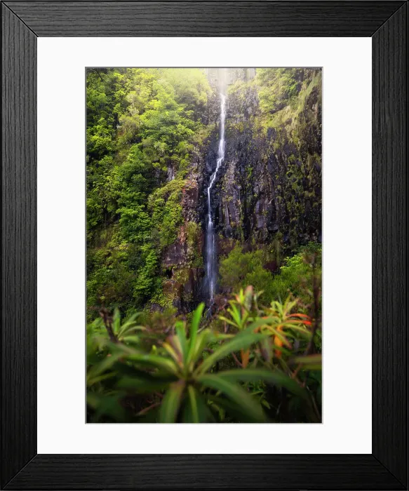Framed Print : The beautiful Risco waterfall during summer, Levada do Risco, Rabacal, Paul da Serra, Madeira, Portugal Framed Print : The beautiful Risco waterfall during summer, Levada do Risco, Rabacal, Paul da Serra, Madeira, Portugal