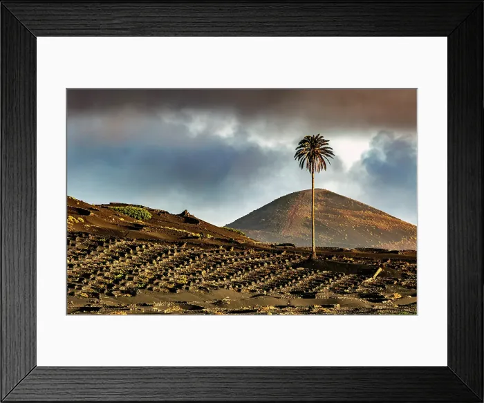 Framed Print : The wine growing landscape of La Geria, Lanzarote, Canary Islands, Spain Framed Print : The wine growing landscape of La Geria, Lanzarote, Canary Islands, Spain
