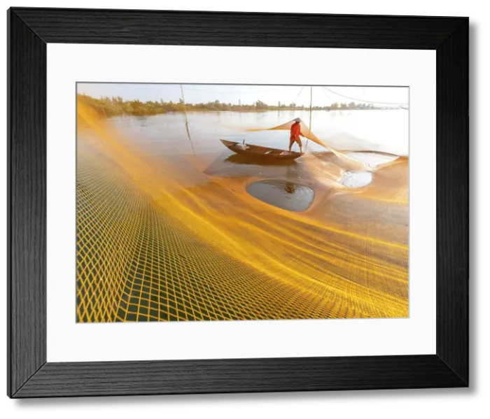 Framed Print : Fisherman checking his net for fish, Cua Dai fishing village, near Hoi An, Central Vietnam Framed Print : Fisherman checking his net for fish, Cua Dai fishing village, near Hoi An, Central Vietnam