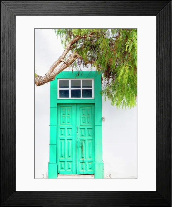 Framed Print : Street of trees, Calle de Los Arboles, Teguise, Lanzarote, Canary Islands, Spain Framed Print : Street of trees, Calle de Los Arboles, Teguise, Lanzarote, Canary Islands, Spain