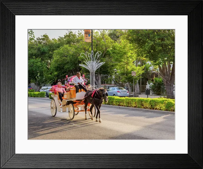 Framed Print : Horse-drawn Carriage at the Paseo de Montejo, Merida, Yucatan State, Mexico Framed Print : Horse-drawn Carriage at the Paseo de Montejo, Merida, Yucatan State, Mexico
