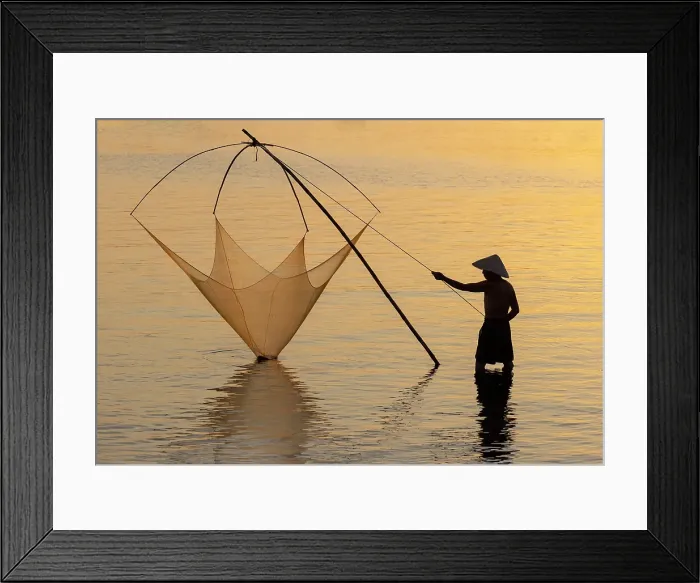 Framed Print : Fisherman lifting his traditional net from the water at sunrise, Quang Loi Lagoon, near Hoi An, Central Vietnam Framed Print : Fisherman lifting his traditional net from the water at sunrise, Quang Loi Lagoon, near Hoi An, Central Vietnam