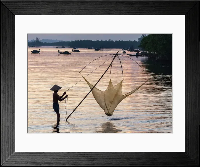 Framed Print : Fisherman lifting his traditional net from the water at sunrise, Quang Loi Lagoon, near Hoi An, Central Vietnam Framed Print : Fisherman lifting his traditional net from the water at sunrise, Quang Loi Lagoon, near Hoi An, Central Vietnam