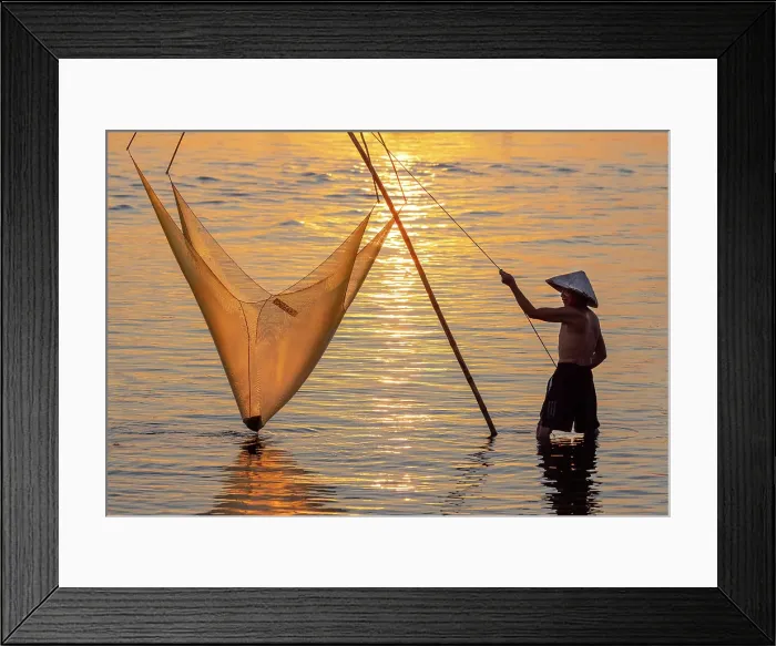 Framed Print : Fisherman lifting his traditional net from the water at sunrise, Quang Loi Lagoon, near Hoi An, Central Vietnam Framed Print : Fisherman lifting his traditional net from the water at sunrise, Quang Loi Lagoon, near Hoi An, Central Vietnam