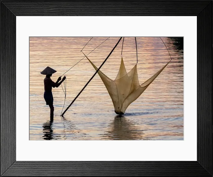 Framed Print : Fisherman lifting his traditional net from the water at sunrise, Quang Loi Lagoon, near Hoi An, Central Vietnam