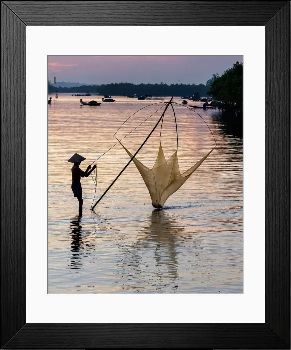 Framed Print : Fisherman lifting his traditional net from the water at sunrise, Quang Loi Lagoon, near Hoi An, Vietnam Framed Print : Fisherman lifting his traditional net from the water at sunrise, Quang Loi Lagoon, near Hoi An, Vietnam