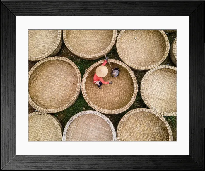 Framed Print : Bamboo basket fishing boats known as Thung Chai being waterproofed at An Dan village, Phu Yen Province, Vietnam Framed Print : Bamboo basket fishing boats known as Thung Chai being waterproofed at An Dan village, Phu Yen Province, Vietnam