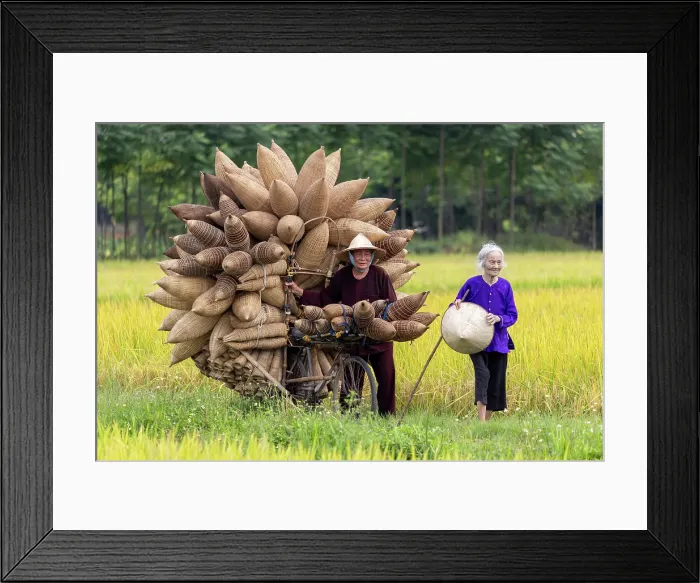 Framed Print : Mr Luong Son Bac, legendary maker of traditional bamboo fish traps, Thu Sy Village, near Hanoi, Vietnam Framed Print : Mr Luong Son Bac, legendary maker of traditional bamboo fish traps, Thu Sy Village, near Hanoi, Vietnam