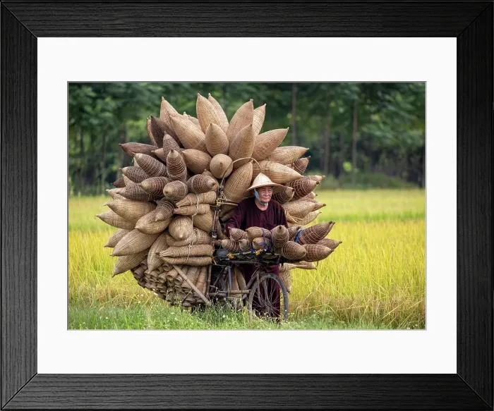 Framed Print : Mr Luong Son Bac, legendary maker of traditional bamboo fish traps, Thu Sy Village, near Hanoi, Vietnam Framed Print : Mr Luong Son Bac, legendary maker of traditional bamboo fish traps, Thu Sy Village, near Hanoi, Vietnam