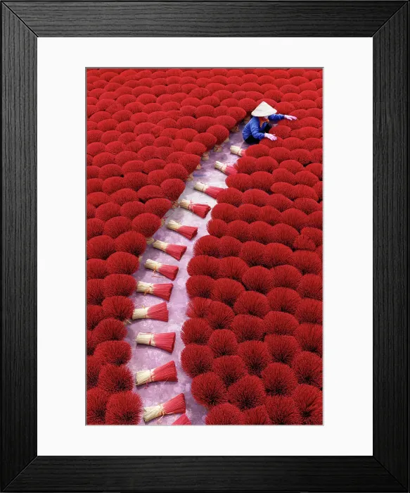 Framed Print : Local woman laying out colourful Incense sticks to dry, Quang Phu Cau village, near Hanoi, Vietnam Framed Print : Local woman laying out colourful Incense sticks to dry, Quang Phu Cau village, near Hanoi, Vietnam