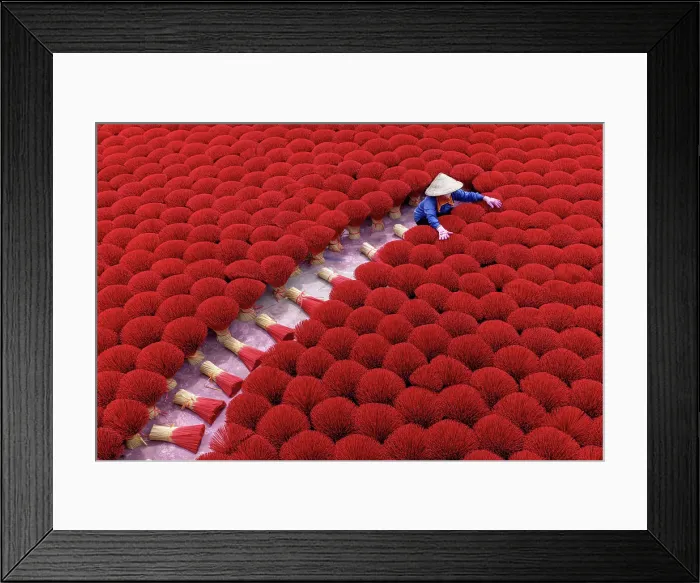 Framed Print : Local woman laying out colourful Incense sticks to dry, Quang Phu Cau village, near Hanoi, Vietnam Framed Print : Local woman laying out colourful Incense sticks to dry, Quang Phu Cau village, near Hanoi, Vietnam