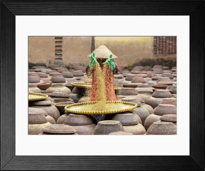 Framed Print : Women sifting soya beans, Ban Village soy sauce factory, near Hanoi, Vietnam Framed Print : Women sifting soya beans, Ban Village soy sauce factory, near Hanoi, Vietnam