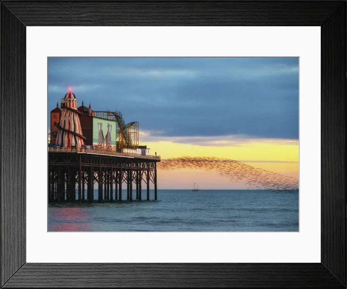 Framed Print : Starling murmuration at sunset next to the Brighton Palace Pier, City of Brighton and Hove, East Sussex, England Framed Print : Starling murmuration at sunset next to the Brighton Palace Pier, City of Brighton and Hove, East Sussex, England