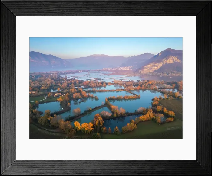 Framed Print : Torbiere del Sebino marshy lands at sunset. Provaglio d'Iseo, Brescia province, Lake district, Lombardy, Italy Framed Print : Torbiere del Sebino marshy lands at sunset. Provaglio d'Iseo, Brescia province, Lake district, Lombardy, Italy