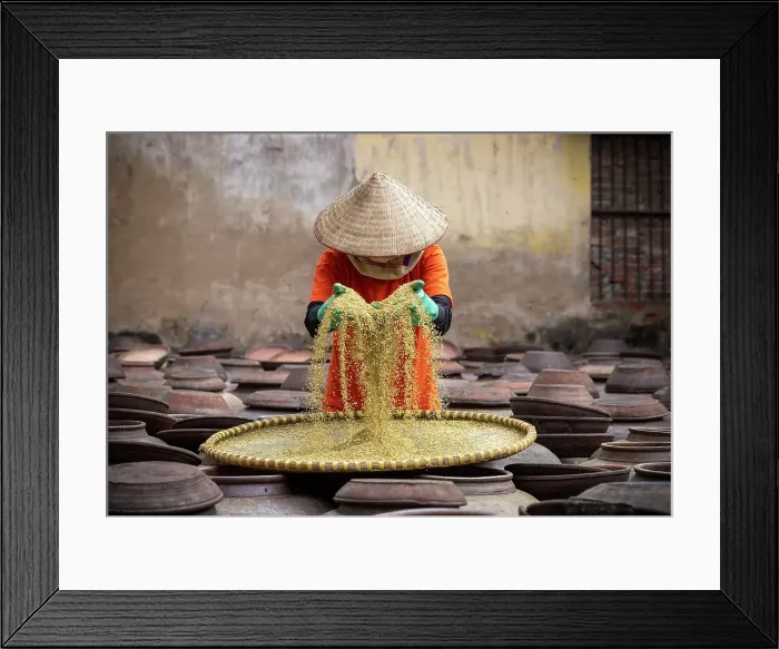 Framed Print : Women sifting soya beans, Ban Village soy sauce factory, near Hanoi, Vietnam Framed Print : Women sifting soya beans, Ban Village soy sauce factory, near Hanoi, Vietnam