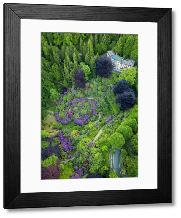 Framed Print : Conca dei Rododendri in the Oasi Zegna natural area during spring. Valdilana, Biella district, Piedmont, Italy Framed Print : Conca dei Rododendri in the Oasi Zegna natural area during spring. Valdilana, Biella district, Piedmont, Italy