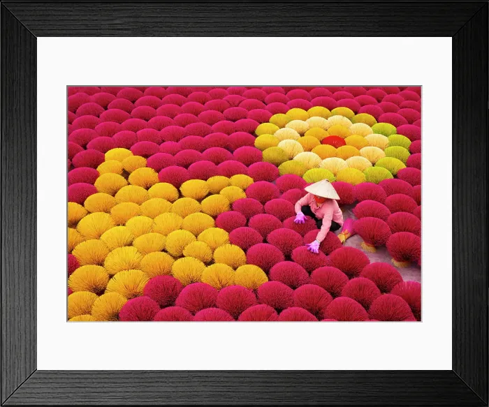 Framed Print : Local woman laying out colourful Incense sticks to dry, Quang Phu Cau village, near Hanoi, Vietnam Framed Print : Local woman laying out colourful Incense sticks to dry, Quang Phu Cau village, near Hanoi, Vietnam