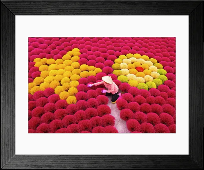 Framed Print : Local woman laying out colourful Incense sticks to dry, Quang Phu Cau village, near Hanoi, Vietnam Framed Print : Local woman laying out colourful Incense sticks to dry, Quang Phu Cau village, near Hanoi, Vietnam