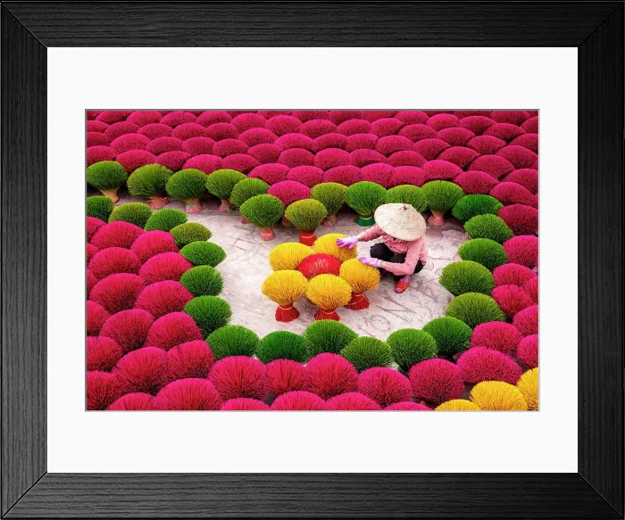 Framed Print : Local woman laying out colourful Incense sticks to dry, Quang Phu Cau village, near Hanoi, Vietnam Framed Print : Local woman laying out colourful Incense sticks to dry, Quang Phu Cau village, near Hanoi, Vietnam