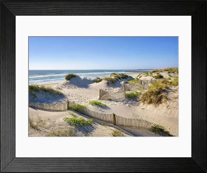 Framed Print : In the beach of Costa Nova, a system to retain the sand carried by the wind and to stop it to form a new sand dune. Portugal Framed Print : In the beach of Costa Nova, a system to retain the sand carried by the wind and to stop it to form a new sand dune. Portugal