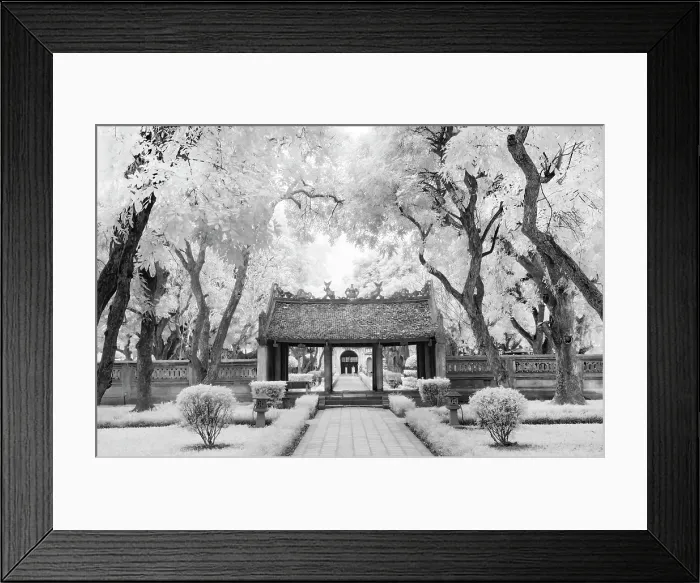 Framed Print : Infrared photograph, Temple of Literature, Hanoi, Vietnam