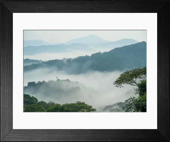 Framed Print : Africa, Rwanda, Nyungwe National Park. The mist rising from the rainforest after a shower