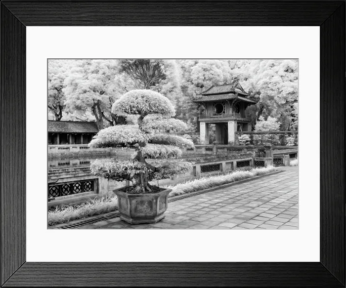 Framed Print : Infrared photograph, Temple of Literature, Hanoi, Vietnam Framed Print : Infrared photograph, Temple of Literature, Hanoi, Vietnam