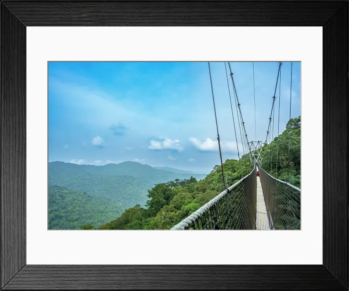 Framed Print : Africa, Rwanda, Nyungwe National Park. The canopy walk through the rainforest Framed Print : Africa, Rwanda, Nyungwe National Park. The canopy walk through the rainforest