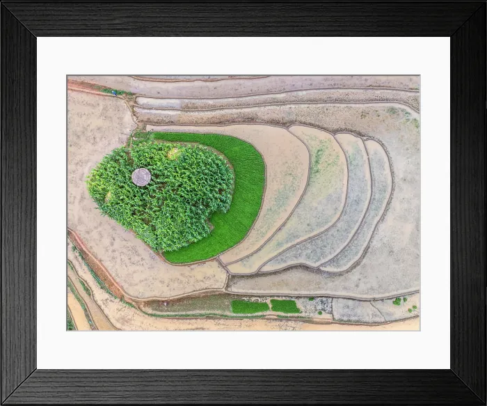 Framed Print : Aerial view of the rice terraces at Mu Cang Chai, Vietnam Framed Print : Aerial view of the rice terraces at Mu Cang Chai, Vietnam