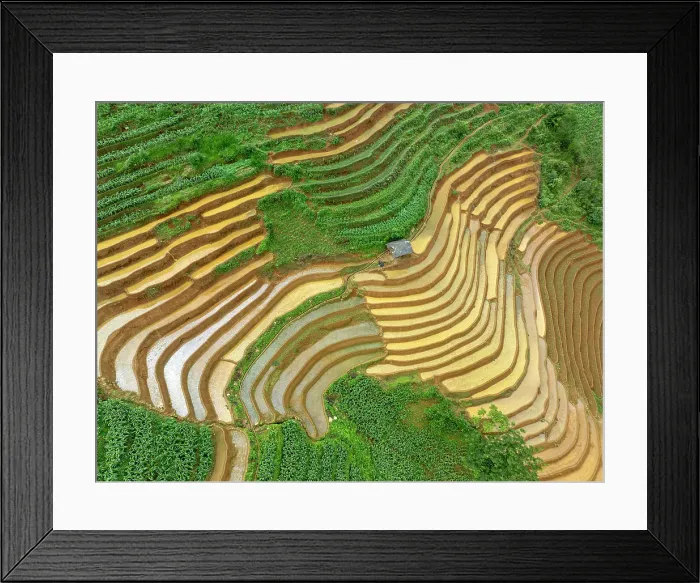 Framed Print : Aerial view of the rice terraces at Mu Cang Chai, Vietnam Framed Print : Aerial view of the rice terraces at Mu Cang Chai, Vietnam