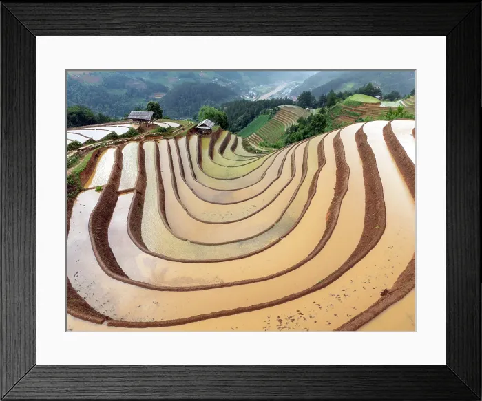 Framed Print : Aerial view of the rice terraces at Mu Cang Chai, Vietnam