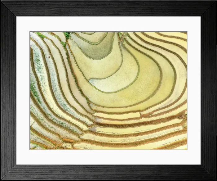 Framed Print : Aerial view of the rice terraces at Mu Cang Chai, Vietnam Framed Print : Aerial view of the rice terraces at Mu Cang Chai, Vietnam