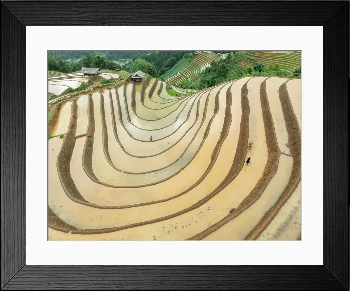 Framed Print : Aerial view of the rice terraces at Mu Cang Chai, Vietnam Framed Print : Aerial view of the rice terraces at Mu Cang Chai, Vietnam