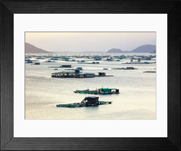 Framed Print : Floating fishing village, South Vietnam Framed Print : Floating fishing village, South Vietnam