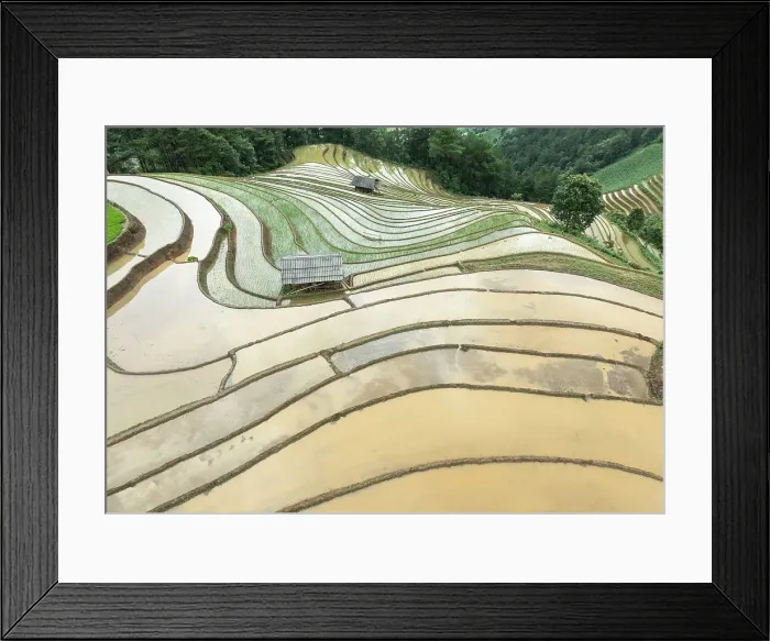 Framed Print : Aerial view of the rice terraces at Mu Cang Chai, Vietnam Framed Print : Aerial view of the rice terraces at Mu Cang Chai, Vietnam