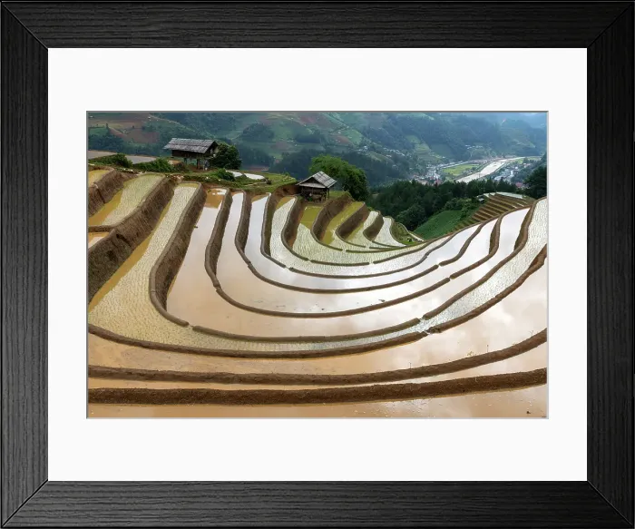 Framed Print : Rice terraces at Mu Cang Chai, Vietnam Framed Print : Rice terraces at Mu Cang Chai, Vietnam