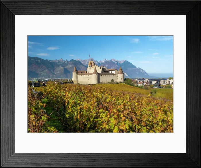 Framed Print : Chateau d'Aigle and vineyards, Aigle, Vaud, Switzerland Framed Print : Chateau d'Aigle and vineyards, Aigle, Vaud, Switzerland