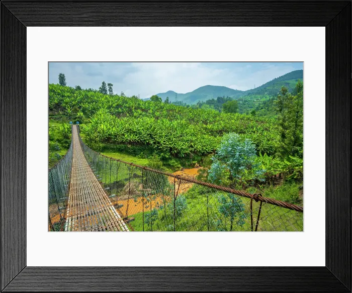 Framed Print : africa, Rwanda, Kivu Lake. The Congo Nile Trail - Walking on a hanging bridge on the Congo Nile trail
