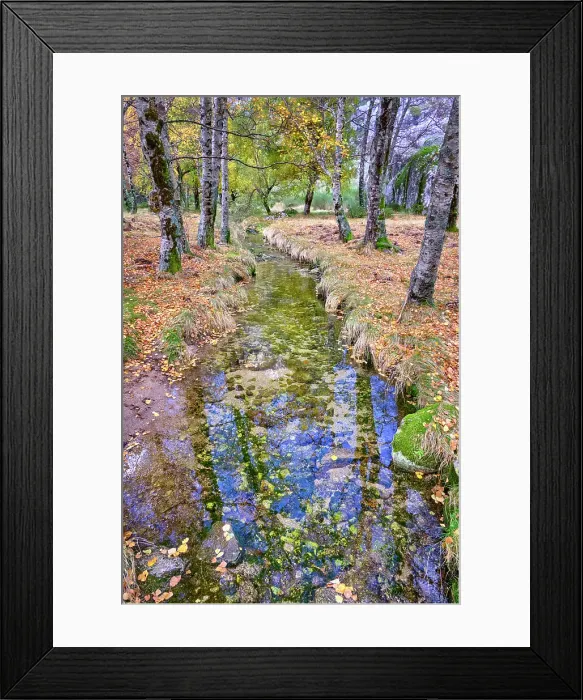 Framed Print : Birch trees and the Zezere river at Covao da Ametade in Autumn. Manteigas, Serra da Estrela Nature Park. Portugal Framed Print : Birch trees and the Zezere river at Covao da Ametade in Autumn. Manteigas, Serra da Estrela Nature Park. Portugal