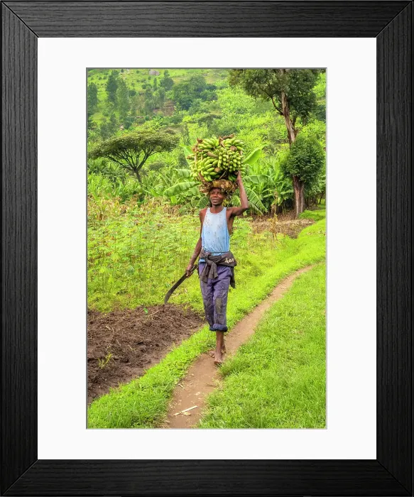 Framed Print : africa, Rwanda, Kivu Lake. Meeting a farmer with bananas on the Congo Nile Trail Framed Print : africa, Rwanda, Kivu Lake. Meeting a farmer with bananas on the Congo Nile Trail