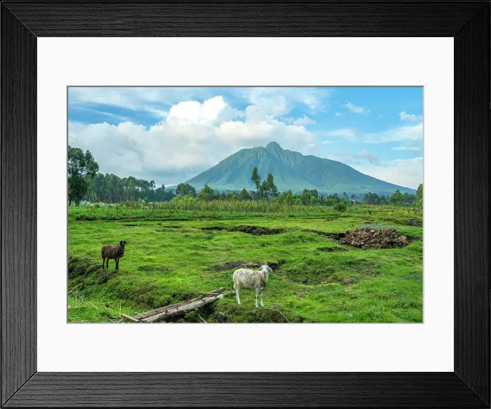 Framed Print : africa, Rwanda, Kiningi, Musanze. One of the impressive Virunga volcanoes seen from Rwanda on the Edge of the Volcanoes National Park Framed Print : africa, Rwanda, Kiningi, Musanze. One of the impressive Virunga volcanoes seen from Rwanda on the Edge of the Volcanoes National Park