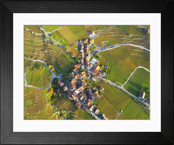 Framed Print : Terrasses de Lavaux Vineyards, Lake Geneva (Lac Leman), Vaud, Switzerland