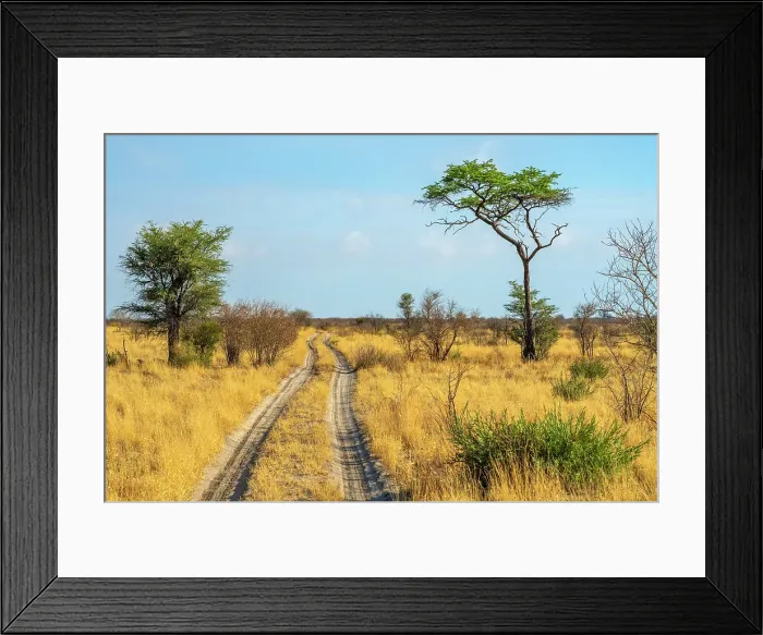 Framed Print : Africa, Botswana, Central Kalahari Game reserve. A typical bush road crossing the savanna